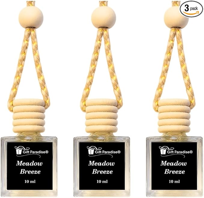 Gift Paradise® Meadow Breeze Car Freshener Set – 3 Pack 10ml Hanging Air Fresheners with Wooden Lid – Fresh Spring Auto & Home Fragrance Diffuser for Car Mirror, Closet & Small Spaces