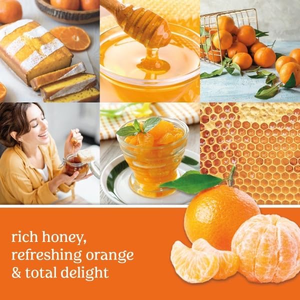 Yankee Candle Scent Plug Refill, Honey Clementine (Pack of 4)