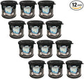 Tree Frog Air Freshener - Black Squash (1box) x12cans