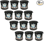 Tree Frog Air Freshener - Black Squash (1box) x12cans