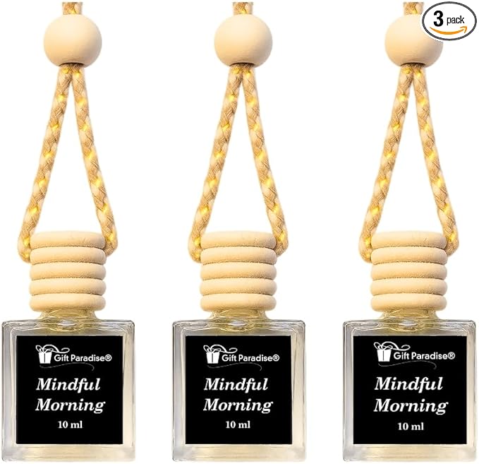 Gift Paradise® Mindful Morning Car Air Freshener Set of 3 (10 ml Each), Hanging Diffuser with Wooden Lid, Clean Spa-Inspired Fresh Scent for Car Mirror, Home & Closet