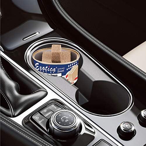 Car Air Freshener | Spill-Proof Can | Organic | for Home & Auto | Long Lasting Freshness | (Pack of 12) Exotica Dream