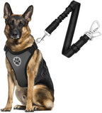 SlowTon Dog Seat Belt Harness for Car, Dog Car Harness Adjustable Mesh Breathable & Dog Seatbelt Safety Tether with Elastic Bungee for Small Medium Large Pets(Grey, Double Clip, L)