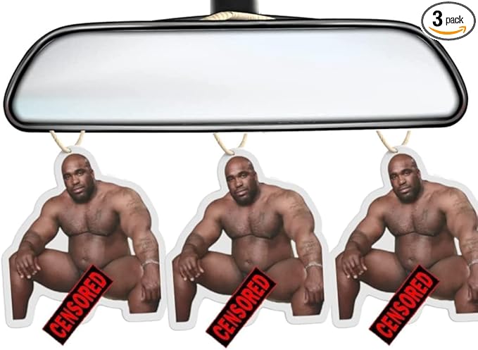3 PCS Barry Wood Gifts for Car Present Air Freshener Funny Gifts for Women Men Mom Dad Friend, Gag Gifts for Him Wife Husband Girlfriend Christmas Stocking Stuffers Valentines Day Birthday Gifts