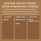 Almond Sugar Cookie Odor Eliminating Highly Fragranced Candle - Eliminates 95% of Pet, Smoke, Food, and Other Smells Quickly - Up to 80 Hour Burn time - 12 Ounce Premium Soy Blend