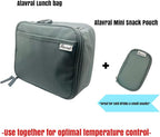 Mini Insulated Snack Bag, Lunch tote, Insulin Bag (purple)