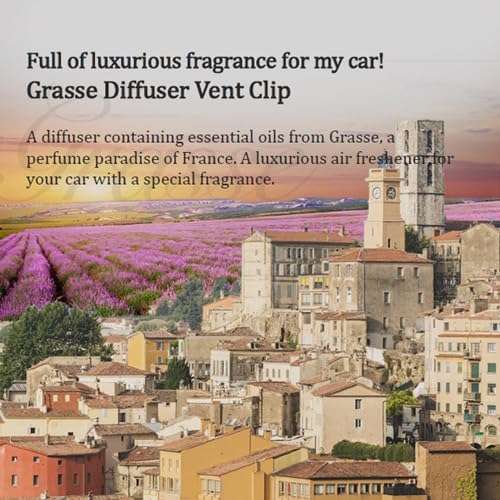 2 Pack Bullsone Diffuser Natural Car Air Freshener, Luxury Car Perfume, Vent Clip Type - Cool Aqua Scent