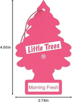 LITTLE TREES Car Air Freshener | Hanging Paper Tree for Home or Car | Morning Fresh
