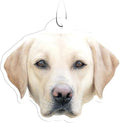 Spoontiques Yellow Lab Air Freshener (3pk) - Dog Themed Car Interior Accessories & Essentials - Hanging Deodorizer, Long-Lasting Fragrance (New Car Scent)