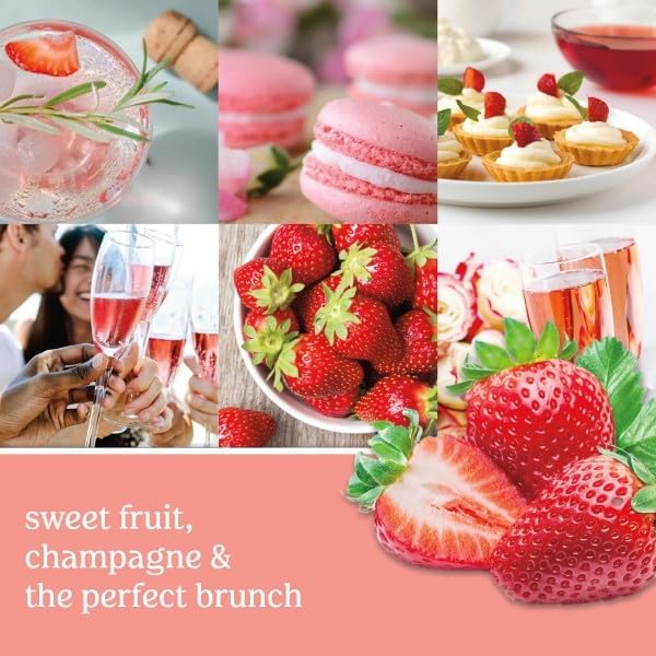 Yankee Candle ScentPlug Refill, White Strawberry Bellini (Pack of 6)