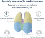 C CUSHION LAB Extra Dense Lumbar Pillow - Patented Ergonomic Multi-Region Firm Back Support for Lower Back Pain Relief - Lumbar Support Cushion with Strap for Office Chair, Car, Sofa - Wellness Green