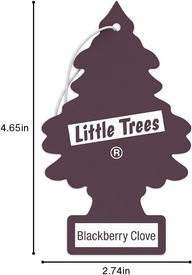 LITTLE TREES Car Air Freshener. Hanging Tree Provides Long Lasting Scent for Auto or Home. Blackberry Clove, 24 Air Fresheners (Pack of 6)