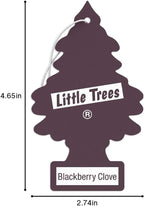 LITTLE TREES Car Air Freshener. Hanging Tree Provides Long Lasting Scent for Auto or Home. Blackberry Clove, 24 Air Fresheners (Pack of 6)
