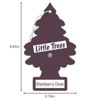 LITTLE TREES Car Air Freshener | Hanging Tree Provides Long Lasting Scent for Auto and Home | 24 Air Fresheners |Blackberry Clove