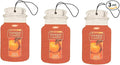 Yankee Candle Paper Car Jar, Spiced Pumpkin (Pack of 3)
