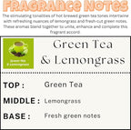 Car Air Freshener | Green Tea & Lemongrass Scent Car Fresheners for Women & Men | Long Lasting Fragrance Car Scents | Air Diffuser with Car Vent Clip (2 Pack Car Scent), Clear