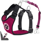 Lukovee Dog Seat Belt for Car, Adjustable Dog Car Harness for Large Medium Small Dogs, Soft Padded & Breathable Mesh Dog Seatbelt with Car Strap and Carabiner (Rose,XXXS)