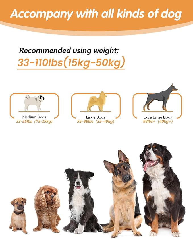 Hands Free Dog Leash, Multifunctional Crossbody Dog Leash, 5.9-9.5Ft Long Waist Belt with Car Seatbelt and Double-Sided Reflective Stitches for Medium and Large Dogs Walking, Jogging(Orange).