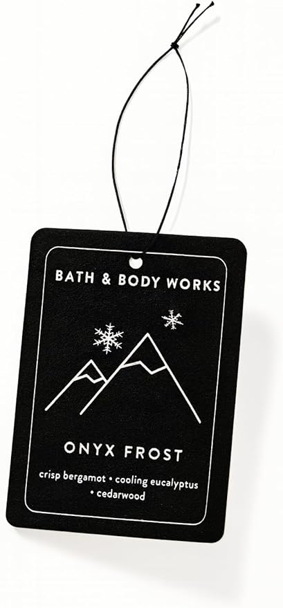 Bath & Body Works Onyx Frost Hanging Fragrance Diffuser – Long-Lasting Air Freshener for Car, Closet, or Home, Elegant Decorative Scent Diffuser