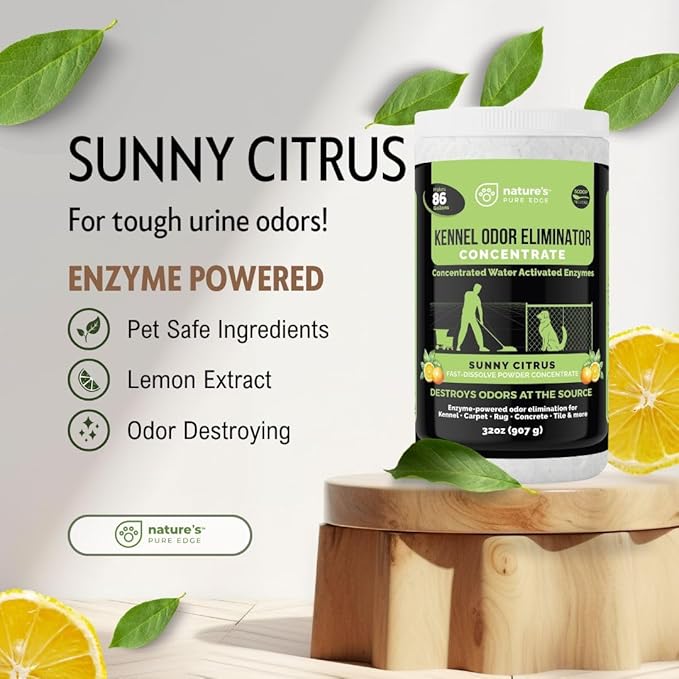 Nature's Pure Edge Enzyme Powder Concentrate Makes 86 Gallons - Professional Use for Kennel and Pet Odor Elimination - Removes Urine Poop from Carpets Floors - Sunny Citrus