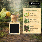 Gift Paradise® Sugar Pine & Patchouli Hanging Car Air Freshener Set of 3 (10 ml Each) – Long-Lasting Woodsy & Earthy Fragrance for Car, Home & Office | Velvet Gift Bag Included | Holiday Gift Set