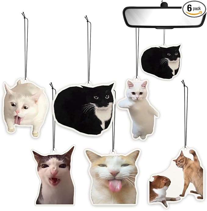 6Pcs Funny Car Air Freshener for Women Girls Men Cute Freshener Ornaments Cat Meme Funny Car Hanging Accessories