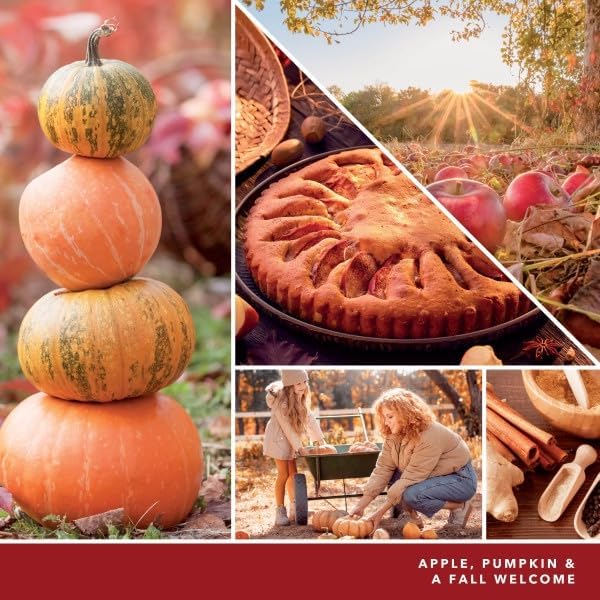 Yankee Candle ScentPlug Refill, Apple Pumpkin (Pack of 6)