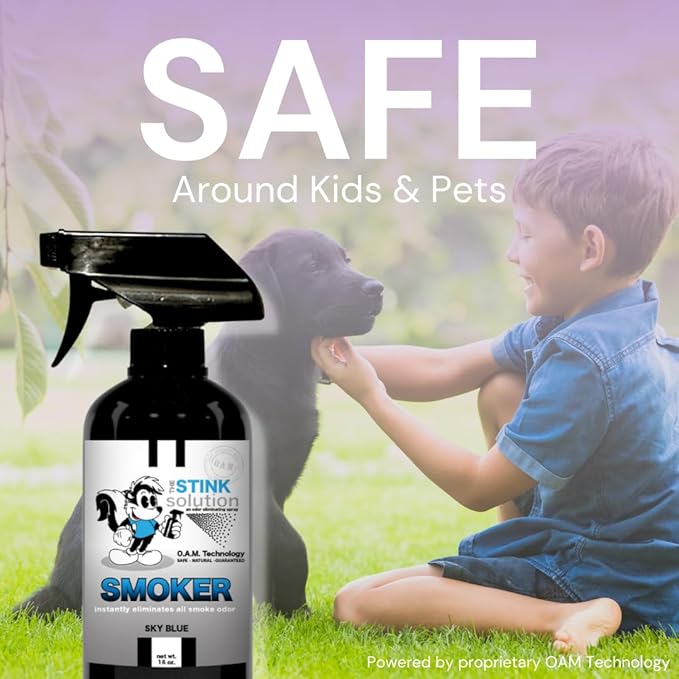 The Stink Solution Smoke Odor Eliminator Spray for Home, Car, Clothes, Hands, Hair, Walls, & More | Completely Neutralizes All Types of Smoke Odor | Best Smoke Smell Remover Bamboo Teak 1 Gallon