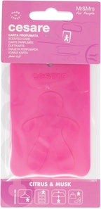 Cesare Scented Cards Car Air Freshener Long Lasting Uses Alcohol Free Fragrance Oil Non-Toxic EVA Material Pack of 6 Different Fragrances