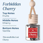 C&E Craft Co Hanging Car Air Freshener Diffuser 2 Pack, Long Lasting Fragrance Oil Car Freshener, Glass Bottle Auto Air Freshener, Made in USA (Forbidden Cherry)