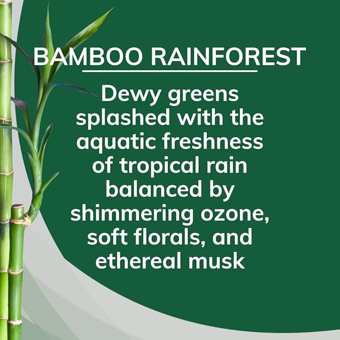 Citrus Magic Solid Air Freshener, Pack of 3, Bamboo Rainforest