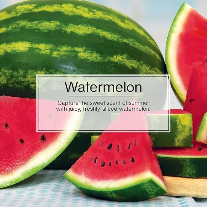 LITTLE TREES Car Air Freshener | Hanging Paper Tree for Home or Car | Watermelon