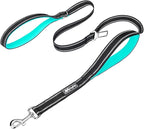 PoyPet 5 Feet Dog Leash - 3M Reflective - 2 Cushioned Handles - Functional Car Seat Belt(Mint Blue)