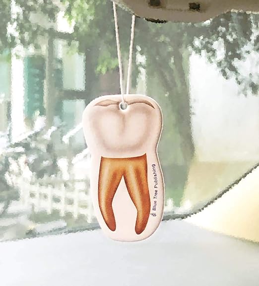 Car Air Freshener Anatomy Dentist Set 10 Pack