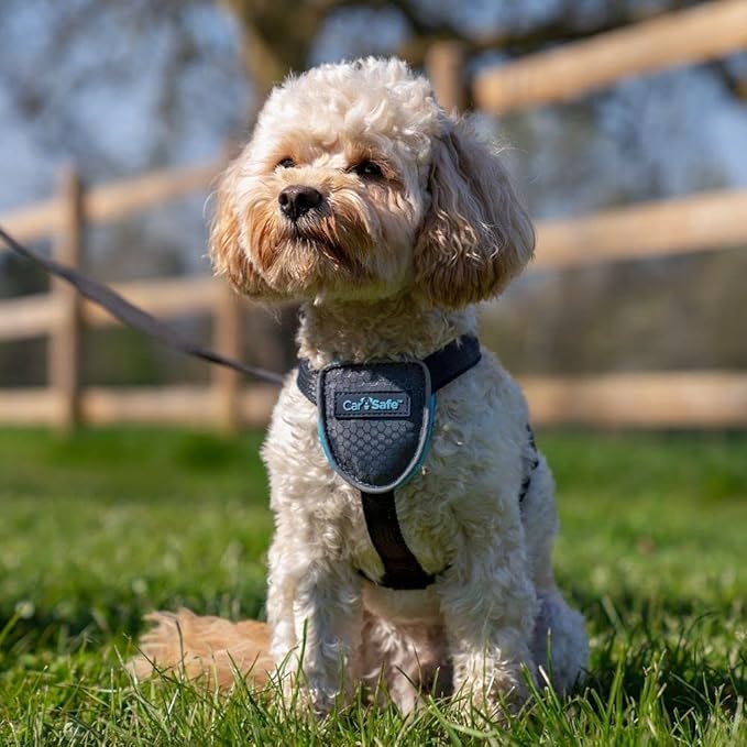 CarSafe Dog Travel Harness - Safely Secure Dog in car, ensures Road Laws and Insurance Terms When Travelling with Your pet. for Toy, Small, Medium and Large Dogs (Size X-Small)