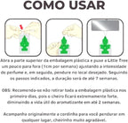Little Trees Car Air Freshener | Hanging Paper Tree for Home or Car | Black Ice | 3 Pack