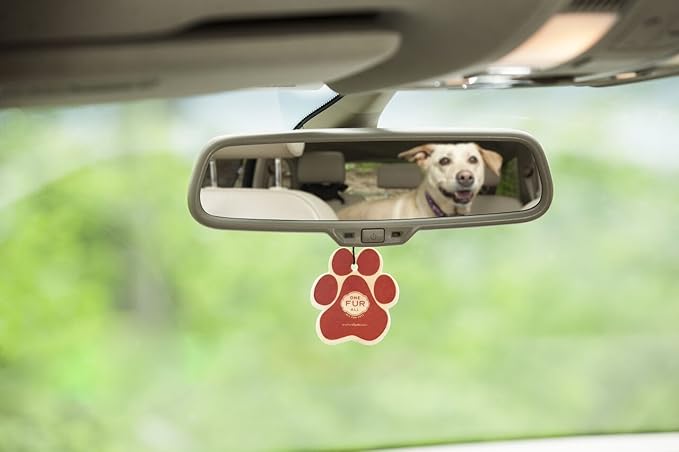One Fur All Pet-Friendly Car Air Freshener - Fall Mix Pack of 4 - Non-Toxic, Long-Lasting, Hanging Odor Eliminator for Small Spaces & Car