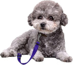 BLMHTWO Dog Seat Belt,3 Piece Adjustable Dog Car Harness Dog Seatbelt Durable Nylon Retractable Pet Seat Belt Dog Accessories Leash Leads Car Vehicle Seatbelt for Dogs Cats and Pets