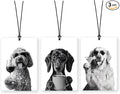 Lacama Retro Poodle Golden Retriever Dachshund Car Air Freshener 3Pcs, Funny Poodle Goldie Weiner Dog Cars Scents Air Freshener for Women Girls Gifts, Dog Car Accessories Interior Mirror Decor Hanging