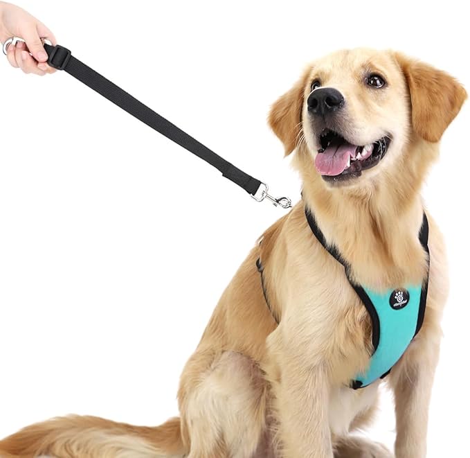 Dog Seat Belt, Safety Vest Dog Car Harness with Adjustable Buckle Dogs Seat-Belt for Vehicle Nylon Pet Safety Seats Belts Heavy Duty(L, Blue)