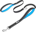PoyPet 5 Feet Dog Leash - 3M Reflective - 2 Cushioned Handles - Functional Car Seat Belt(Blue)