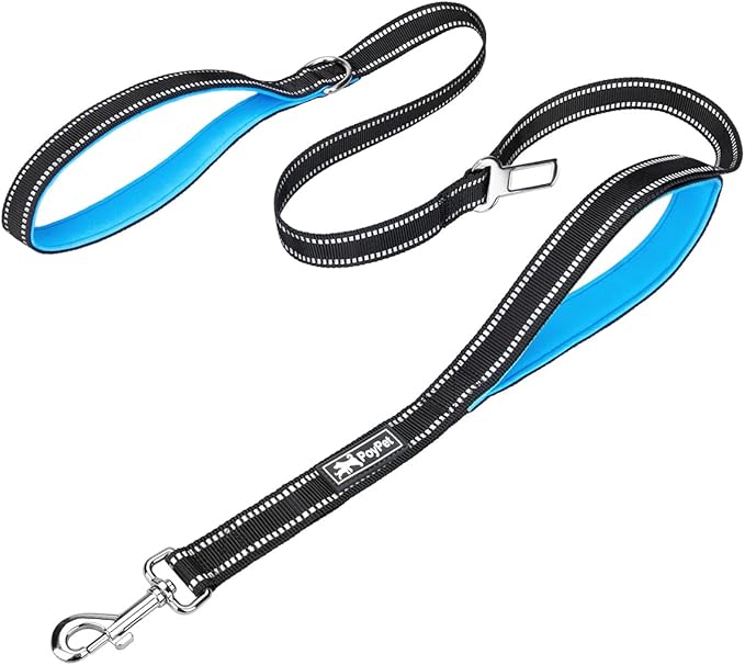 PoyPet 5 Feet Dog Leash - 3M Reflective - 2 Cushioned Handles - Functional Car Seat Belt(Blue)