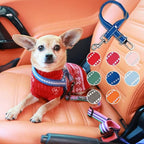 Blueberry Pet Essentials Pastel Color Reflective Dog Seat Belt Tether, Baby Blue, Durable Safety Car Vehicle Seatbelts Leads Use with Harness