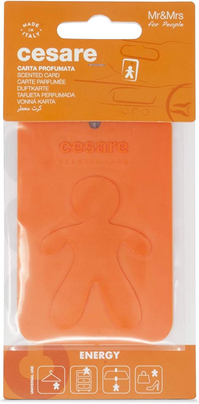 Cesare Scented Cards Car Air Freshener Long Lasting Uses Alcohol Free Fragrance Oil Non-Toxic EVA Material Pack of 6 Different Fragrances