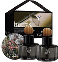 hetras Premium Car Diffuser Set 2.6 fl.oz. 2 Pack | Flower Shop - Flowers & Green Grass Scent | Long-Lasting Luxury Fragrance Air Freshner Car Dash Board Perfume | Gifts for Loved One