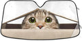 Funny Cat Car Windshield Sun Shade Cute Animal Foldable UV Ray Sun Visor Protector Sunshade to Keep Your Vehicle Cool (55" x 27.6")