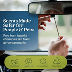 Enviroscent Non-Toxic* Car Air Freshener Auto Stix® - Scents Made Safer - Enjoy Fragrance Lasts Up to 480 Days - Includes Auto Stix® Diffusers & Elastic Loops - Coastal Storm & Teakwood (Pack of 8)