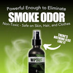 Chronic Wipeout Smoke Smell Eliminator for Home, Cars, Hands, Hair, Clothes, & More | Smoke Odor Eliminating Spray for All Kinds of Strong Smoke | Gifts for Smokers - Bamboo Teak 2 Pack (16 oz)