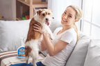 Superhero Strength Stain & Pet Odor Eliminator | Enzyme Carpet Cleaner Spray for Pets | Pet Stain Remover for Dog and Cat Urine Destroyer | Small Pet and Puppy Supplies | Pee Deodorizer