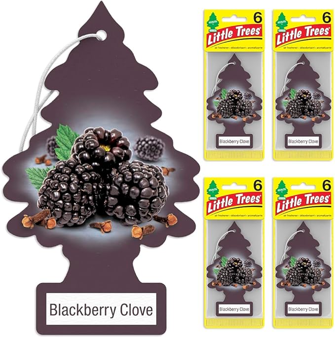 LITTLE TREES Car Air Freshener. Hanging Tree Provides Long Lasting Scent for Auto or Home. Blackberry Clove, 24 Air Fresheners (Pack of 6)